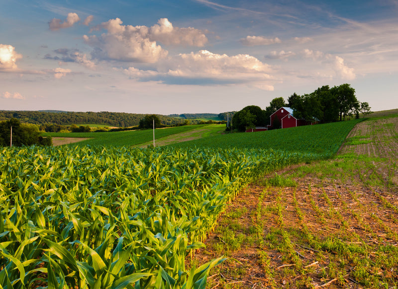 Who Owns America’s Farmland - Who Owns Our Food Future?