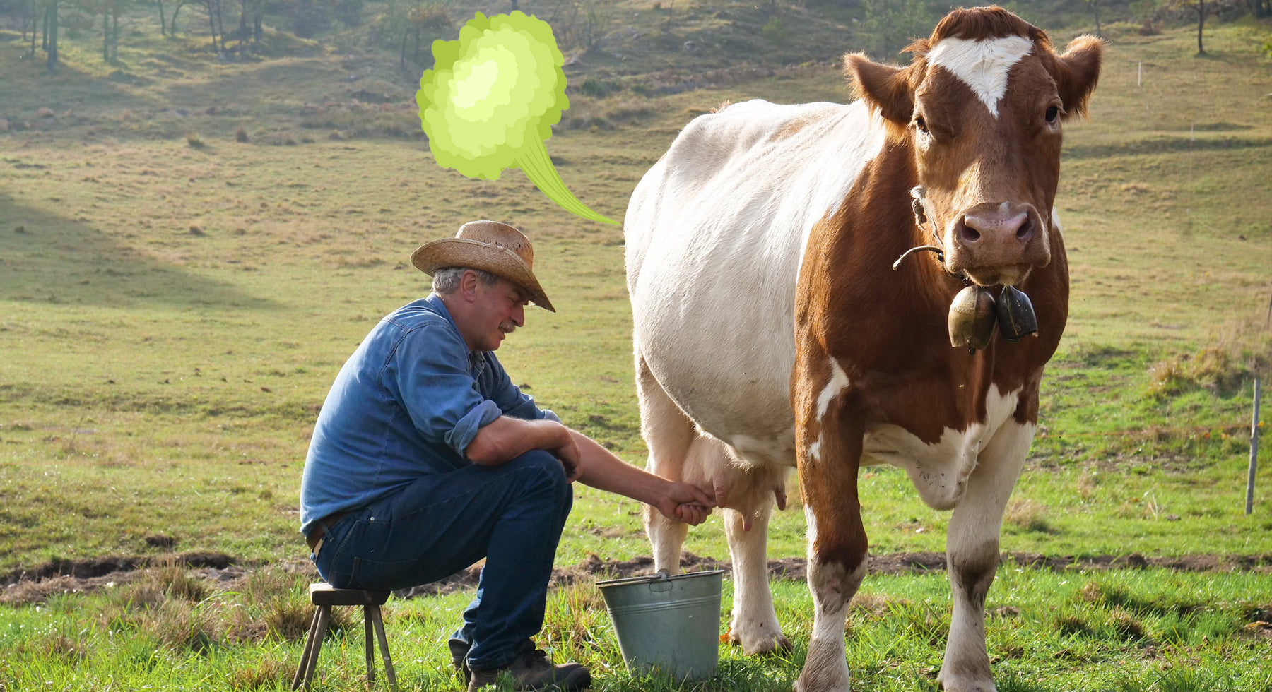 Breaking News: New Zealand Taxes Cow Farts