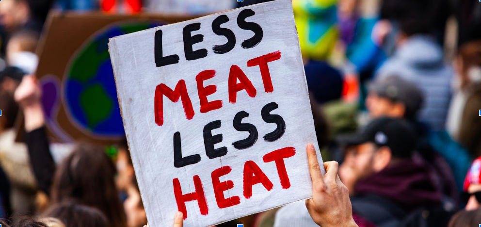 UN Calls for Less Meat—Americans Say “Come and Steak It”