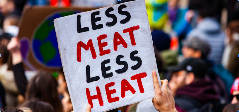 UN Calls for Less Meat—Americans Say “Come and Steak It”