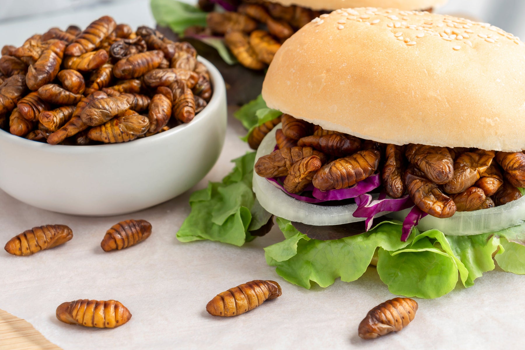 Tyson Foods Invests In Insect Protein, And We’re Buggin'