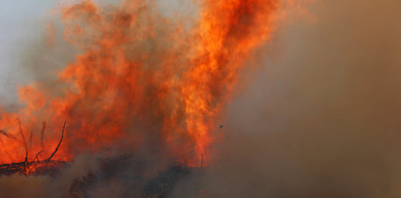 The Texas Wildfire Crisis: The Unseen Toll on American Ranchers
