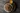 Pork Breakfast Sausage