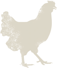 Better Than Organic Chicken